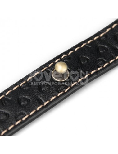 Rebellion Reign Corbata de Collar