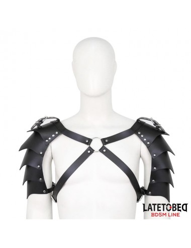 Arnes de Hombros Ajustable