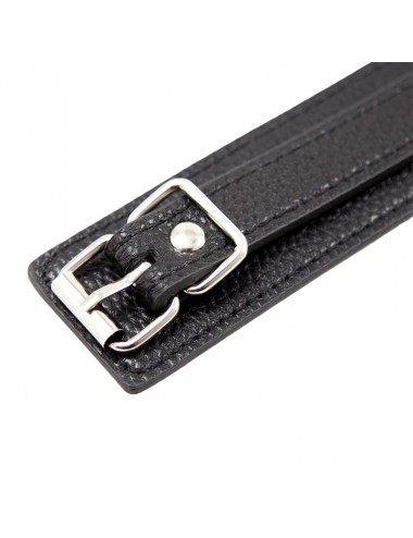 Collar con Correa de Patron de Serpiente