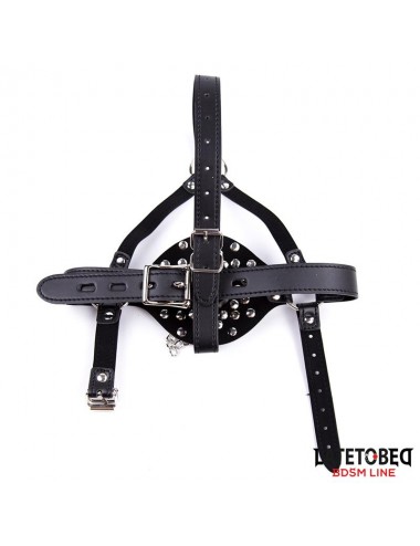 Arnes Facial con Accesorio Desmontable Toilet Lid Ajustable