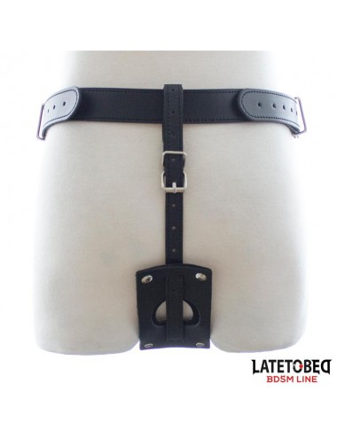 Cinturon Castidad Tipo Tanga Ajustable