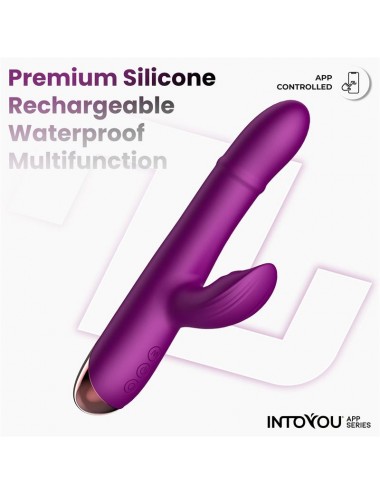 Sendel Vibrador con Anillo de Bolas Internas Up and Down y Pulsacion con App