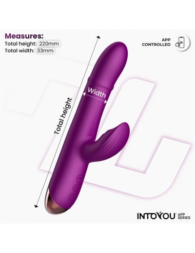 Sendel Vibrador con Anillo de Bolas Internas Up and Down y Pulsacion con App