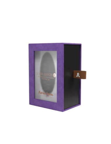 Huevo Vibrador Ocean Breeze 20 con Control Remoto Negro