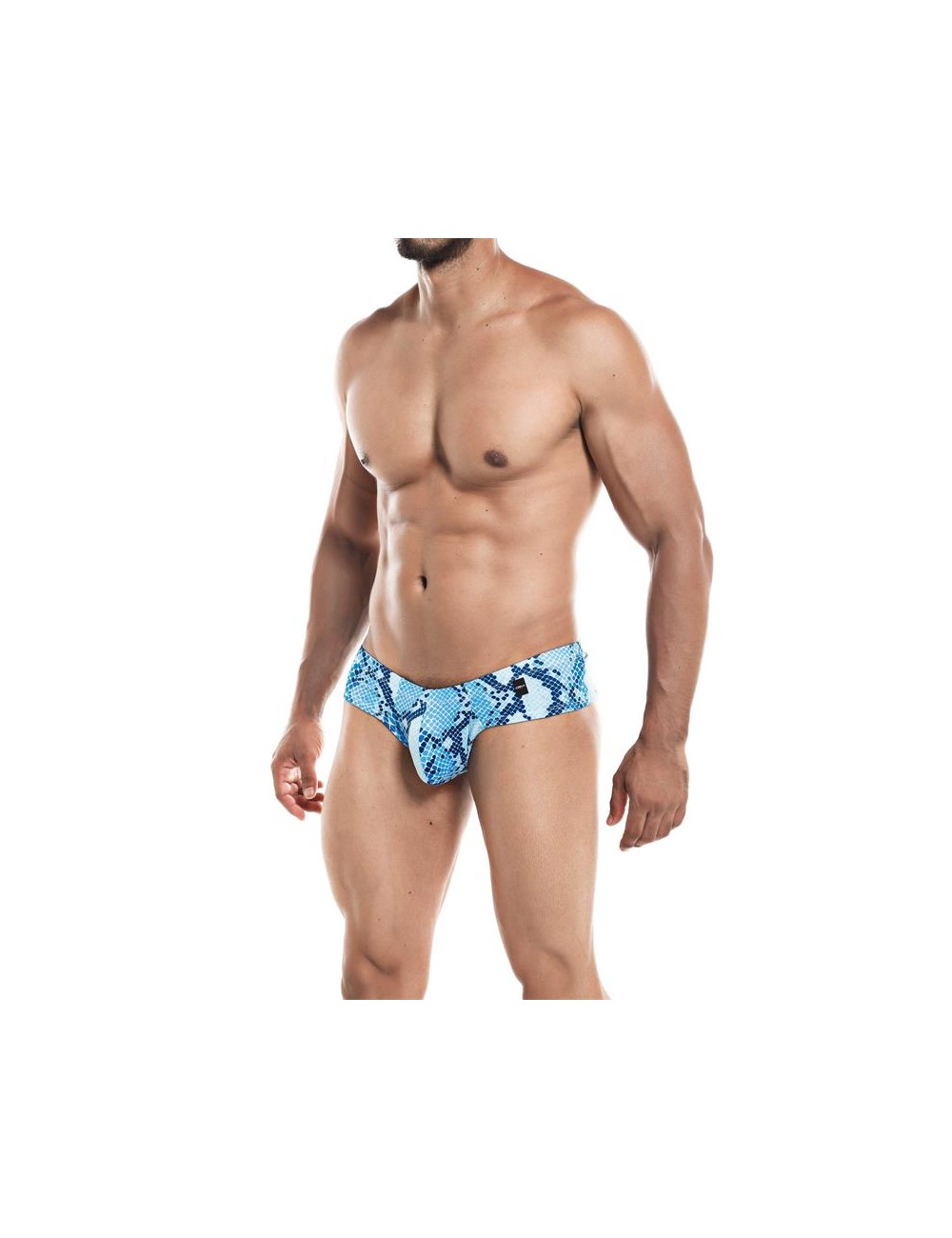 Cheeky Brief Provocative Estampado Serpiente