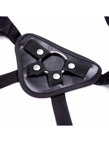 Alexia Arnes Universal con Cinturon Ajustable