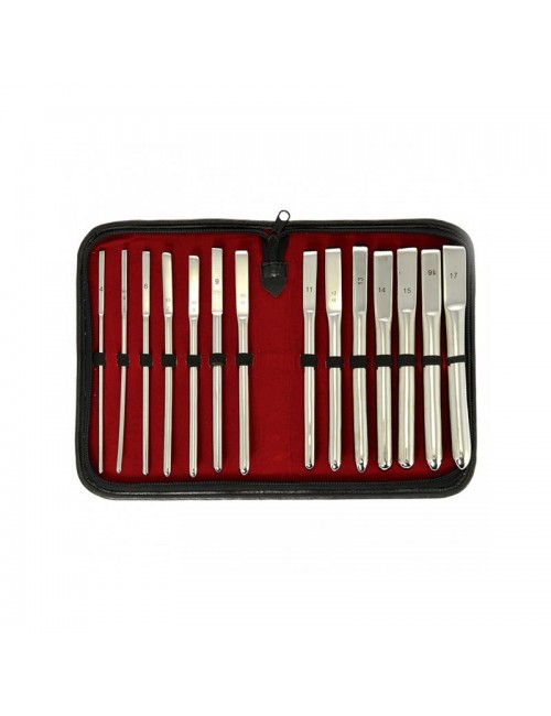 Set de Dilatadores de Uretra 14 piezas