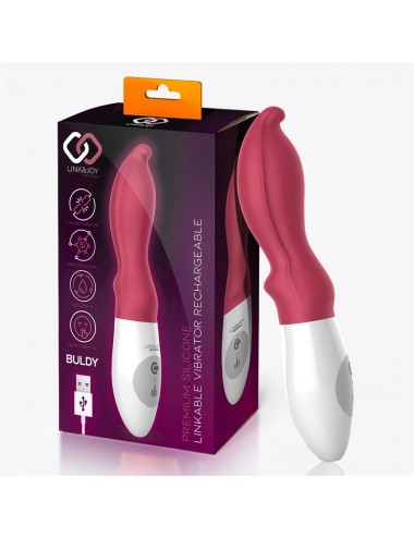 Buldy + Controller Vibrador