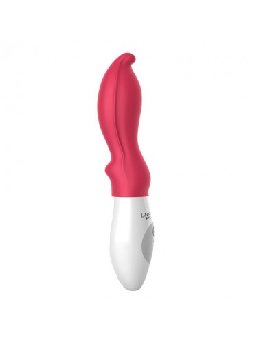 Buldy + Controller Vibrador