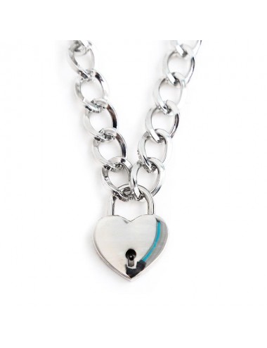 Collar con Candado Metal Talla M 44 cm