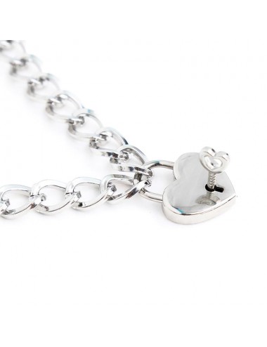 Collar con Candado Metal Talla M 44 cm