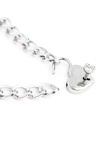 Collar con Candado Metal Talla M 44 cm