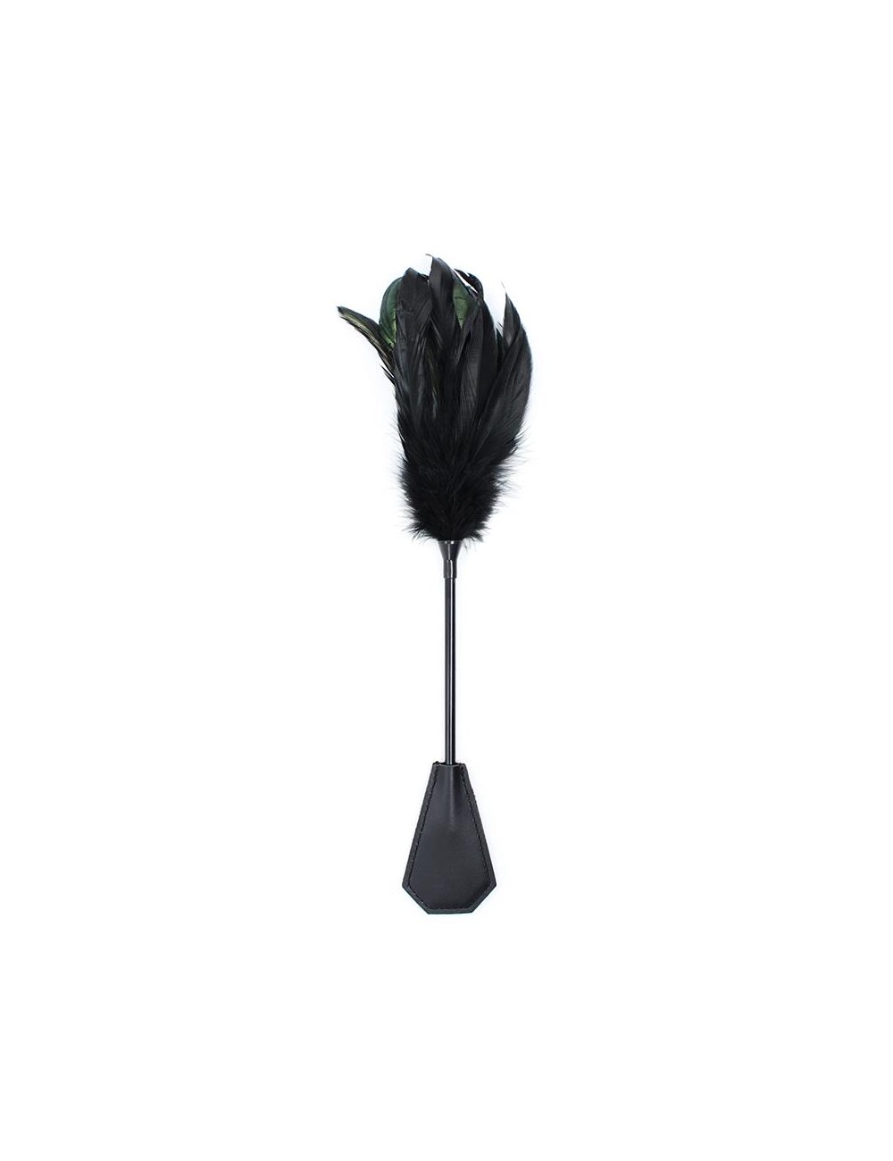 Plumero y Pala 2 en 1 48 cm Negro