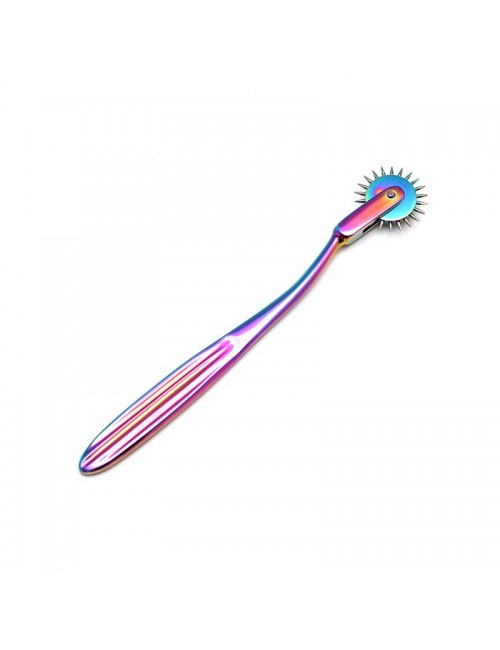 Rueda de Dolor Multicolor 1