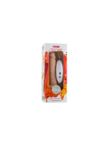 Vibrador Rotador Cesar V.R...