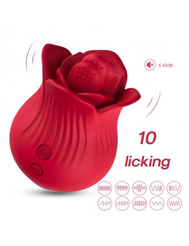 Licking rose