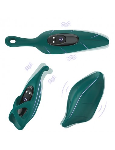 Set de Vibrador y Fundas