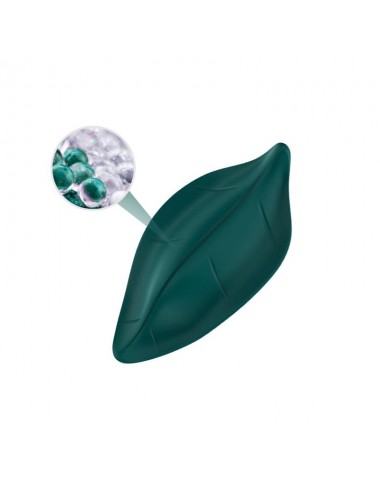 Vibrador de Braguita