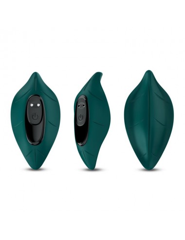 Vibrador de Braguita