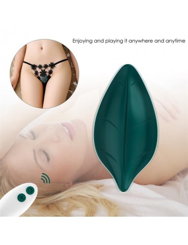 Vibrador de Braguita