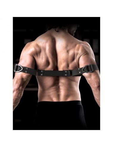Correas para Biceps