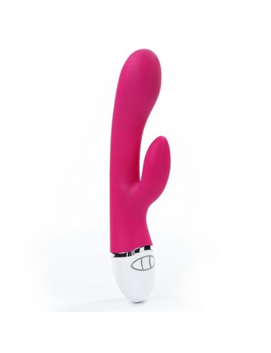 Vibrador Dreamer USB Rose Red