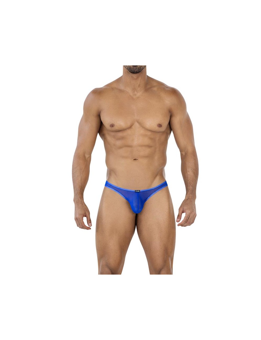 C4MSPX07 Calzoncillo Capri Brief Mesh Electric Blue