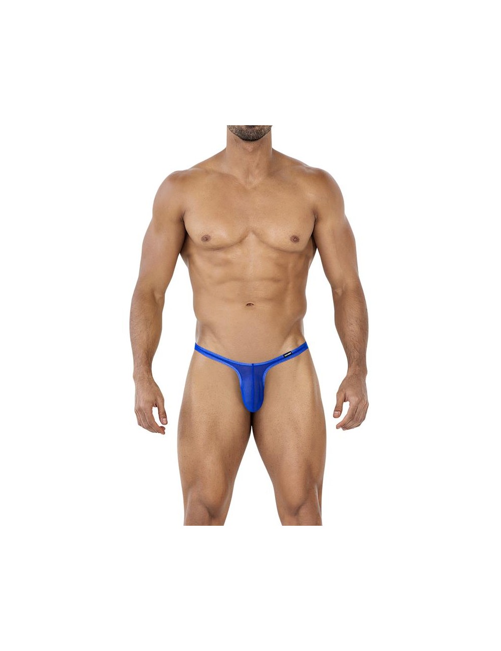 C4MSPX11 Micro Tanga Mesh Electric Blue