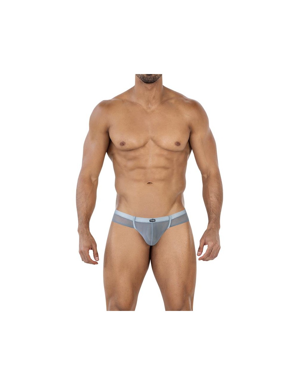C4MSPX22 Calzoncillo Hybrid Cheeky Brief Mesh Grey