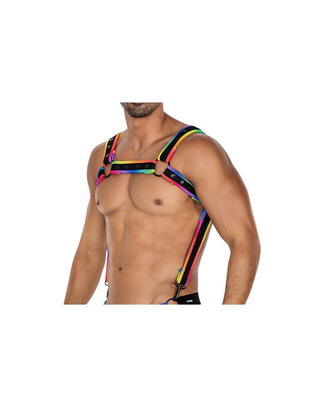 H4RNESS05 Arnes de Pecho Neon MultiColor Talla unica