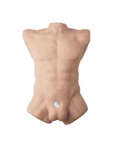 Apollo L Torso 54 cm