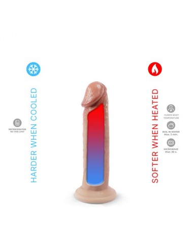 Dildo Mod 2 6