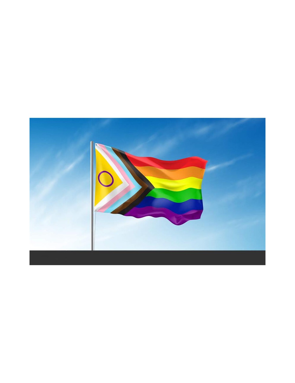 Bandera Intersexsual 90x150cm