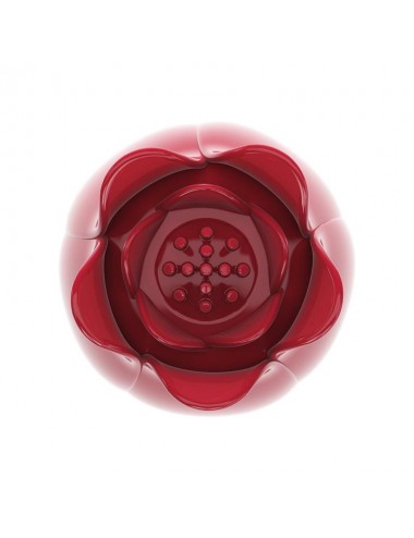 Flower Wand Cabezal para Masajeador Power Wand