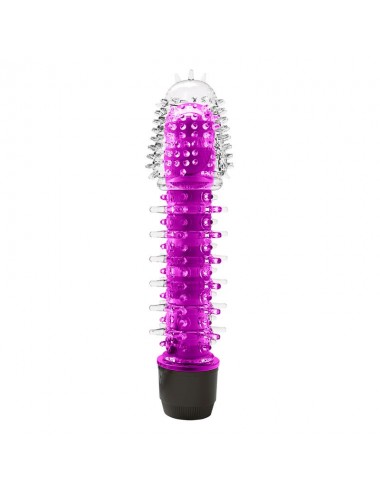 Evan Vibrador Multi Velocidad Purpura