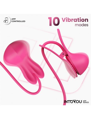 Tickly Pinzas para Pezones con Vibracion Control y Collar con APP