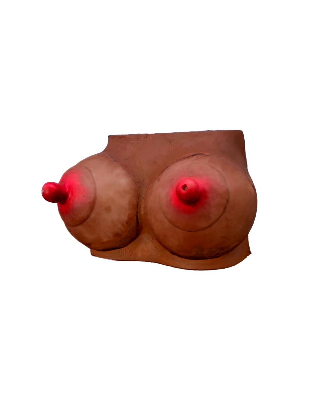 Hucha Forma de Pechos Mulata