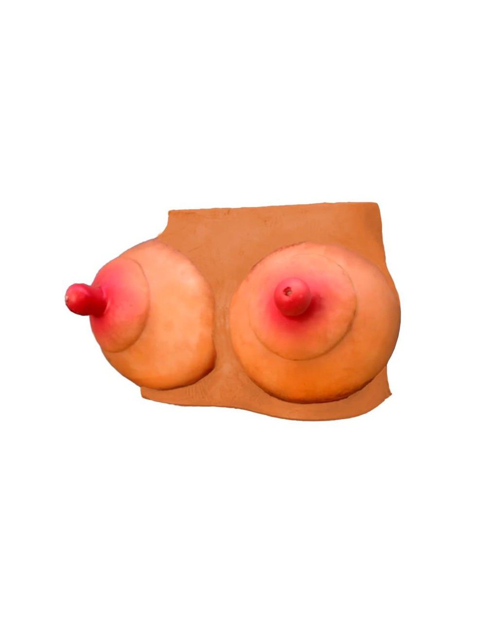 Hucha Forma de Pechos