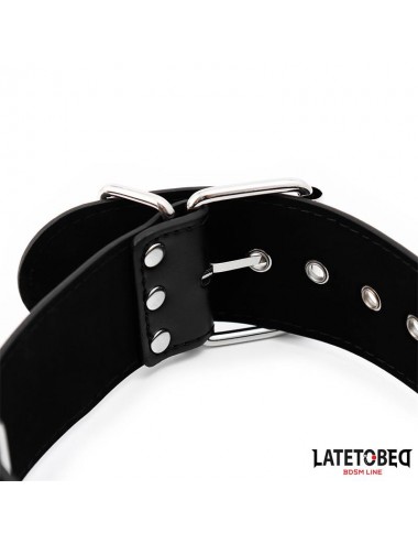 Collar y Esposas Ajustables