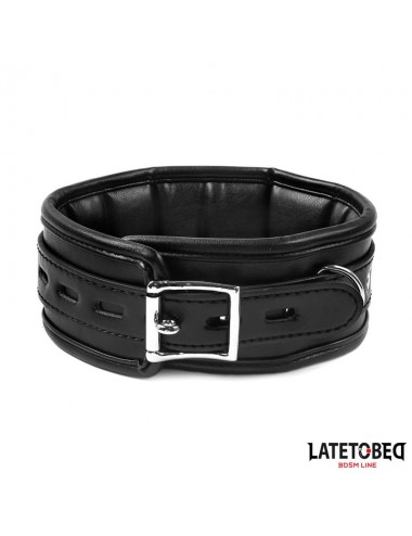 Collar con Correa Acolchado