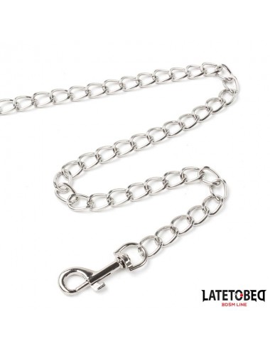 Collar con Correa Acolchado