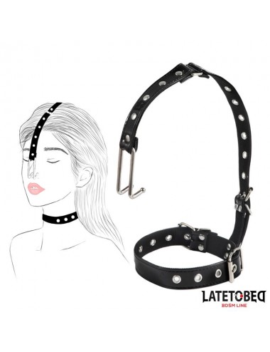 Collar con Gancho para la Nariz