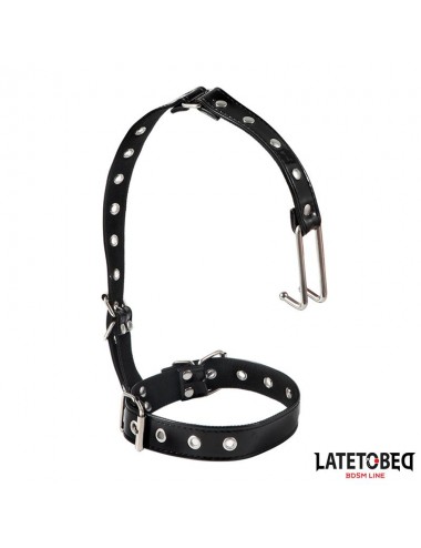 Collar con Gancho para la Nariz