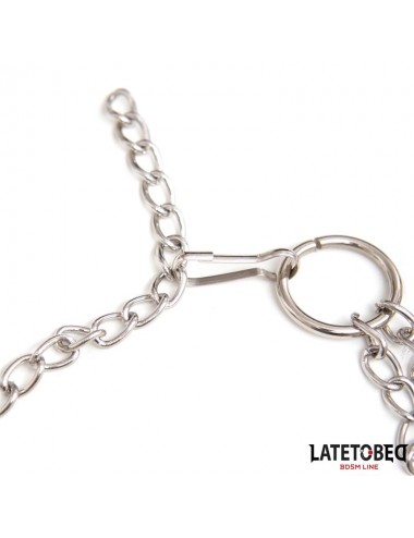Pinzas Pezones con Anillo para Pene Talla unica