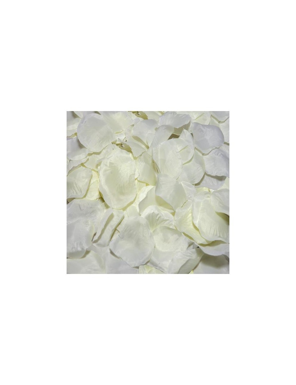 100 Petalos Color Vainilla