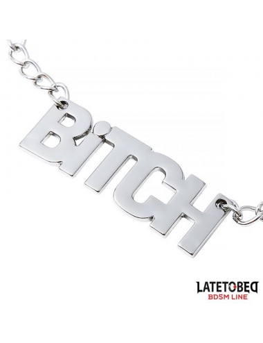 Pinzas para Pezones con Cadena Bitch