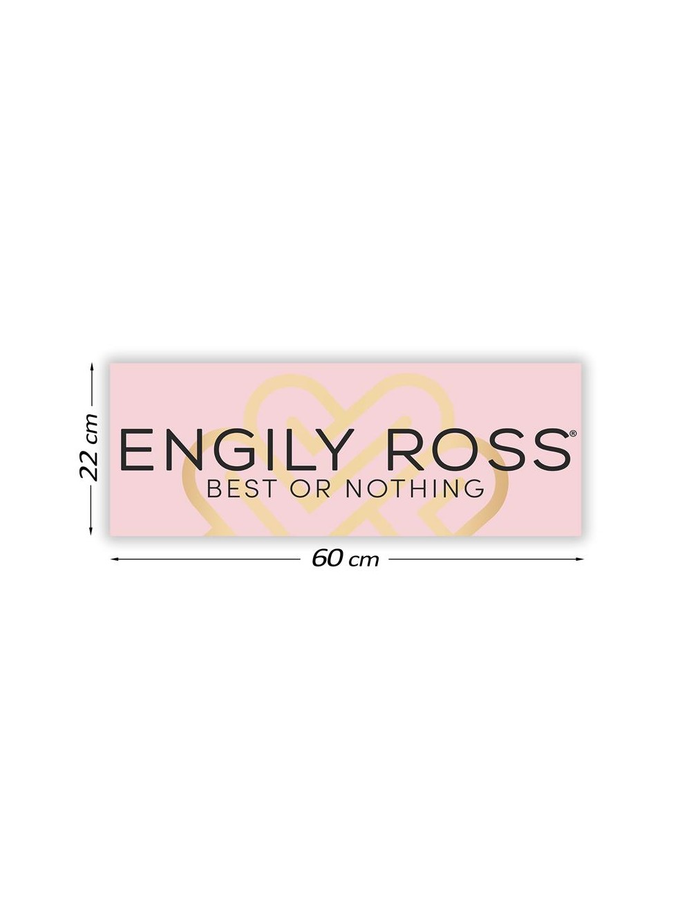 Cartel Promocional Engily Ross 60 cm x 22 cm