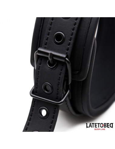 Set Collar y Correa Neopreno Negro