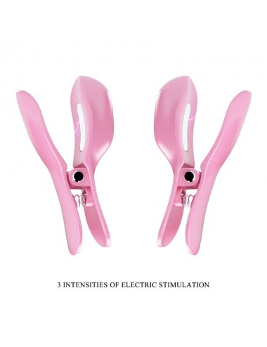 Surprise Box Huevo Vibrador y Pinzas para Pezones con Electro Estimulacion Rosa