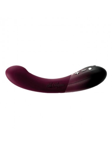 Vibrador de Bajos y Altos 2...